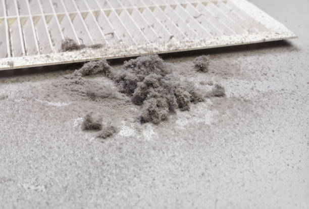 Best Affordable HVAC Duct Cleaning  in Dorothy, NJ