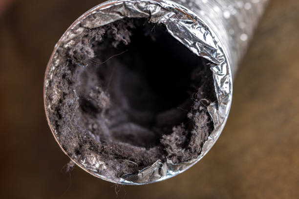 Best Air Duct Cleaning Near Me  in Dorothy, NJ